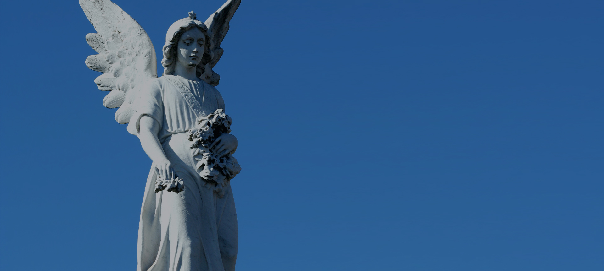 Jiangsu Xinyesheng Dealbhóireacht Co, Teo.