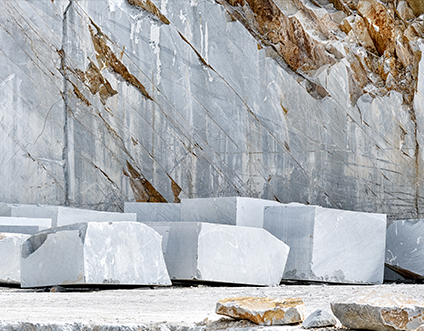 Jiangsu Xinyesheng Dealbhóireacht Co, Teo.